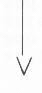 down arrow